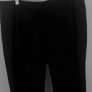 Ann Taylor paints- size 10p